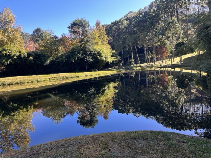 Lago com reflexos das árvores