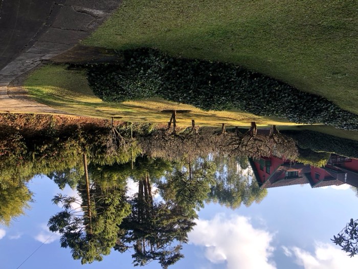 Pomar e jardins da propriedade
