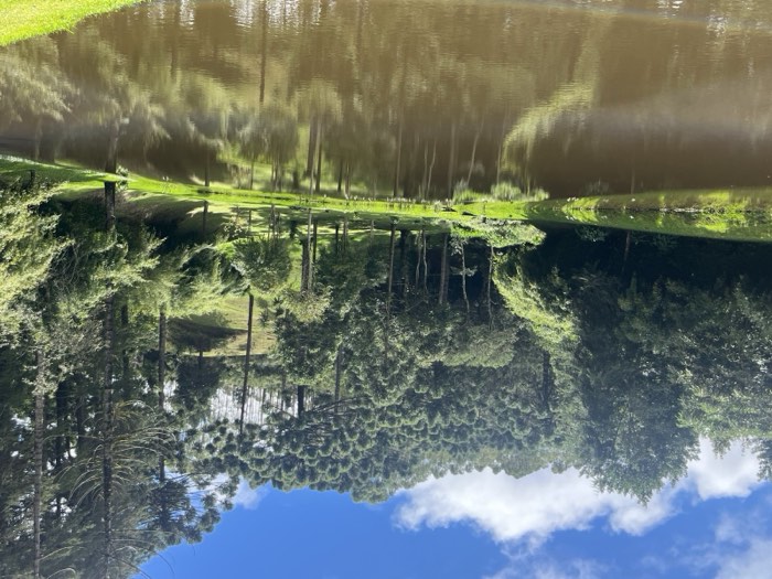 Lago e mata de araucárias