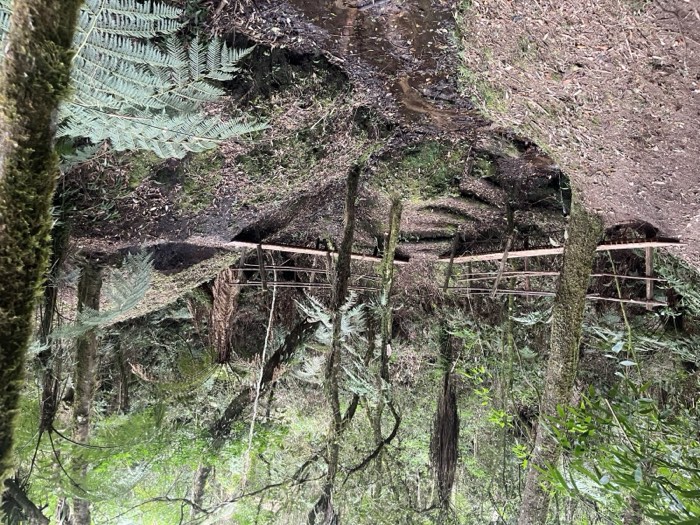 Pontes de madeira sobre o riacho na mata